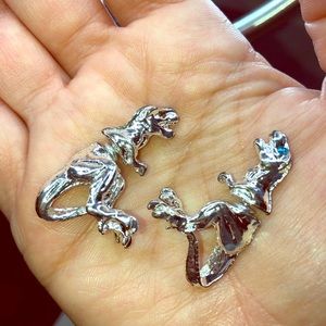 ♦️5 for $25♦️Dinosaur earnings